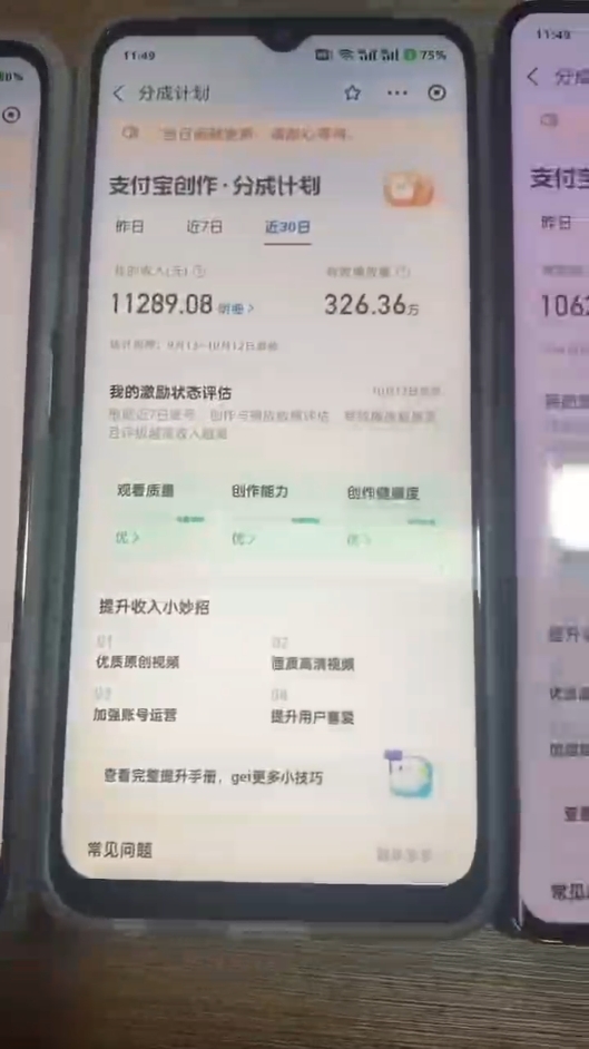 （12970期）2024年底最稳项目，小白无门槛，坚持做三个月，回家过肥年！！！-科景网创