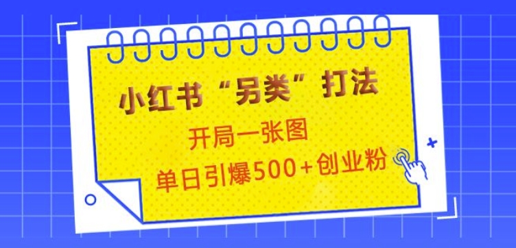 小红书“另类”打法，开局一张图，单日引爆500+精准创业粉【揭秘】-科景网创