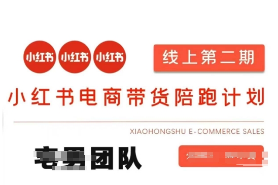 小红书电商带货课2期，月利润20个的小红书电商的有货源，无货源，虚拟产品，付费投流等整套玩法-科景网创