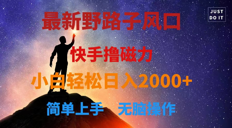 最新风口！快手撸磁力，野路子，小白无脑操作日入2000+-科景网创