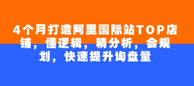 4个月打造阿里国际站TOP店铺，懂逻辑，精分析，会规划，快速提升询盘量-科景网创