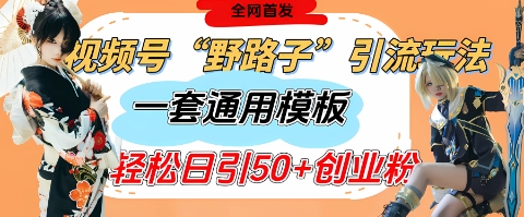 视频号“野路子”玩法，评论区疯狂截流，一套模板单日单号引流50+创业粉-科景网创