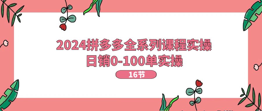 2024拼多多全系列课程实操，日销0-100单实操【16节课】-科景网创