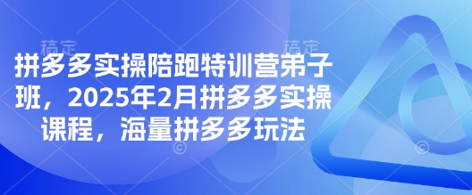 拼多多实操陪跑特训营弟子班，2025年2月拼多多实操课程，海量拼多多玩法-科景网创
