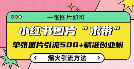 小红书图片‘求带’爆火引流法，单张图片引流500+精准创业粉【揭秘】-科景网创