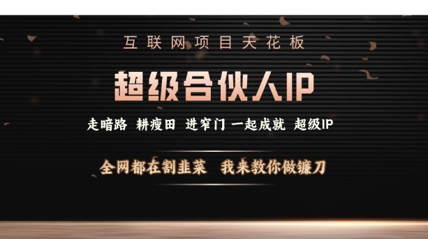 互联网项目天花板，超级合伙人IP，全网都在割韭菜，我来教你做镰刀【仅揭秘】-科景网创