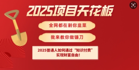 2025项目天花板普通人如何通过知识付费，实现财F自由【揭秘】-科景网创